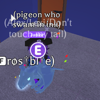 hur man far gratis robux 2020 Frost Dragon Adopt Me Wiki Fandom