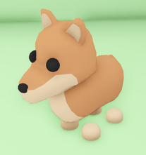 Dingo