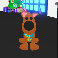 Scoob Adopt Me Roblox Wiki Fandom - mascotas de adopt me roblox fotos