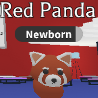 Red Panda Adopt Me Wiki Fandom