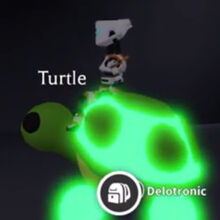 Turtle Adopt Me Wiki Fandom - neon turtle adopt me roblox