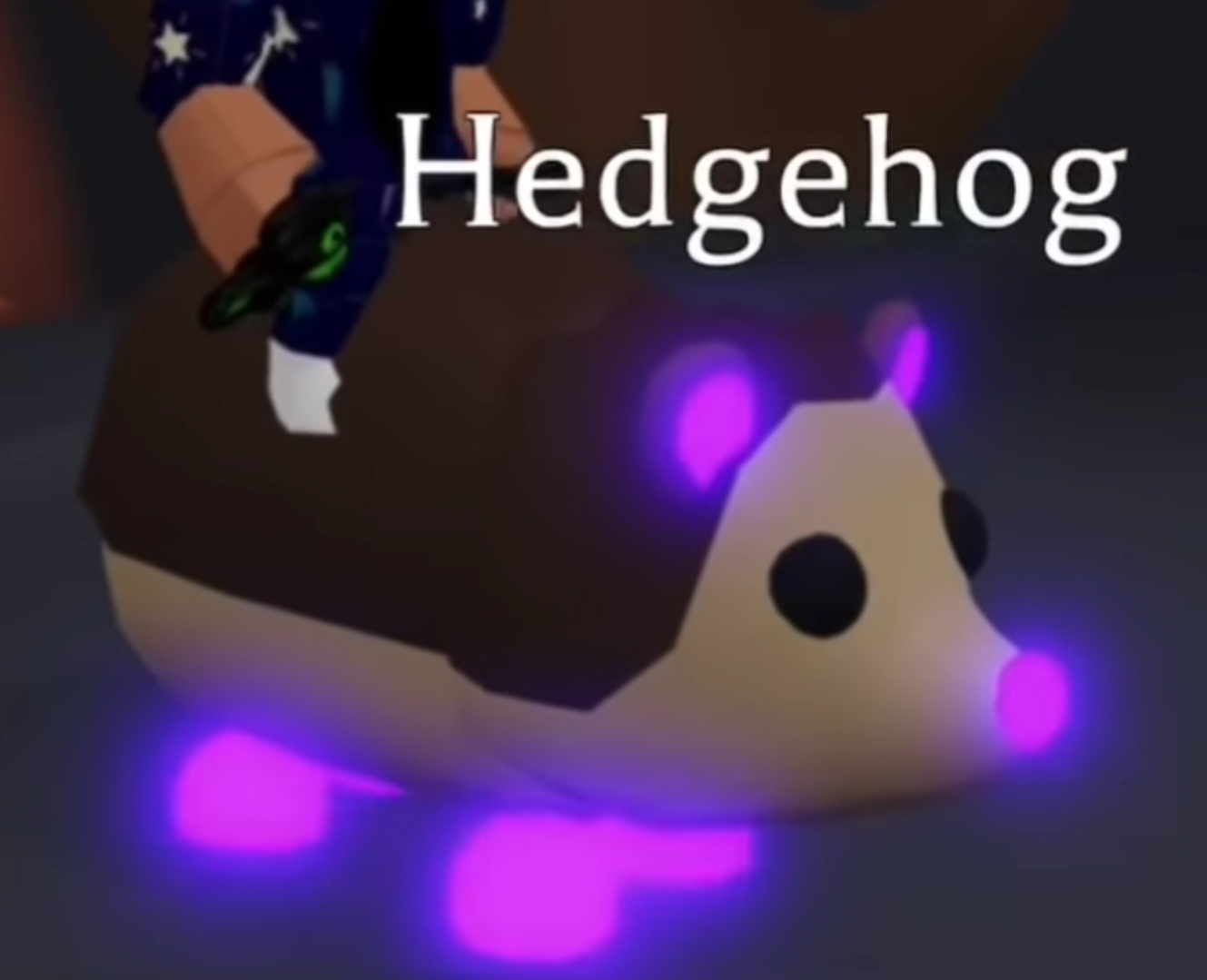 Hedgehog | Adopt Me! Wiki | Fandom