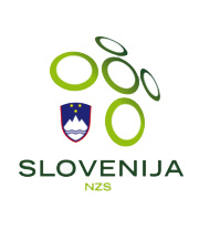Slovenia-national-soccer-team-logo