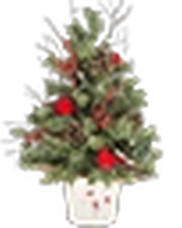 Small Pine Eternitydev Wiki Fandom