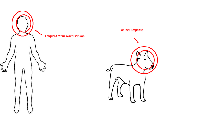 File:Zoopathy.png