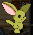 YellowMoglin