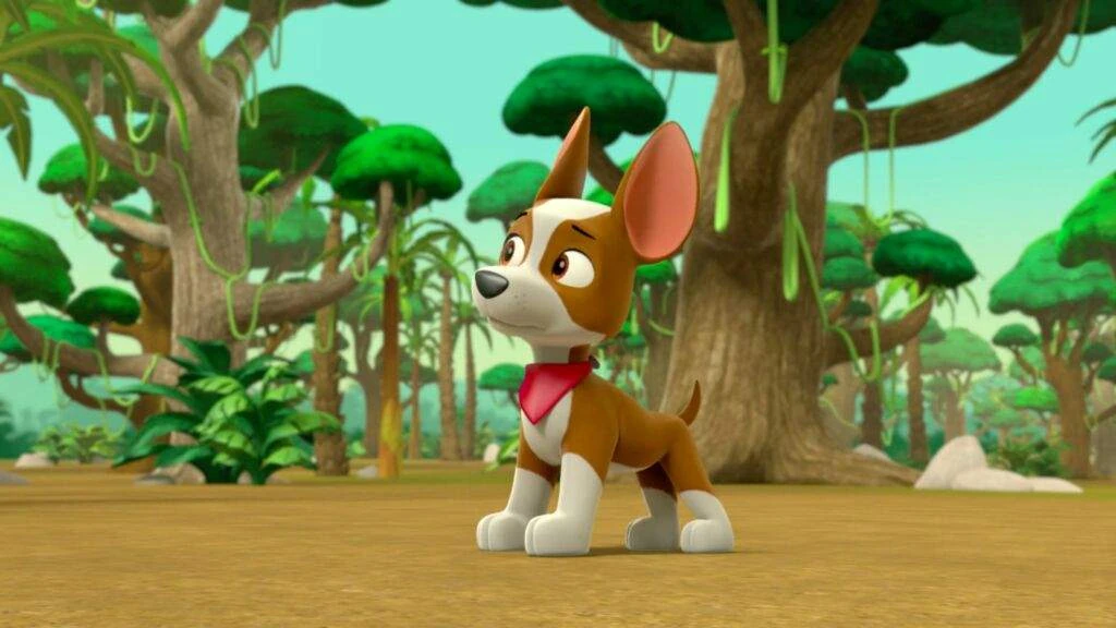 paw patrol pup tracker