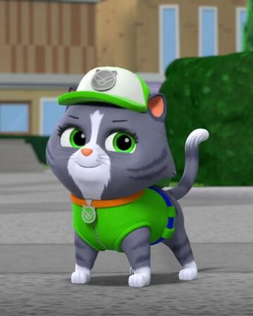 paw patrol cat