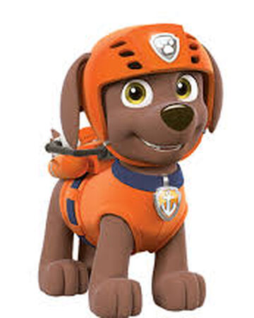 zuma pup paw patrol