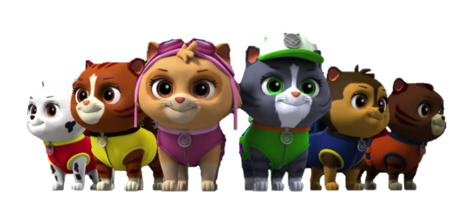 paw patrol kitty catastrophe crew toys