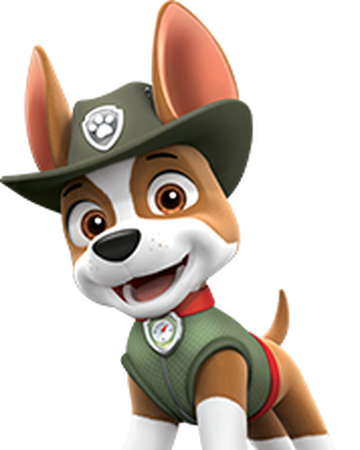 tracker paw patrol jungle rescue