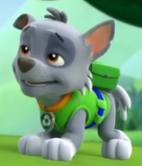 Rocky | Adventures of the PAW Patrol 2 Wiki | Fandom