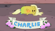 Charlie