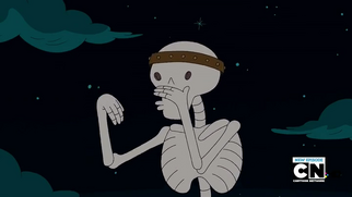 Skeleton