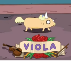 Viola