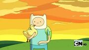 Pato -3 finn
