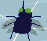 200px-Fly Web Weirdos