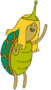 Turtle Princess
