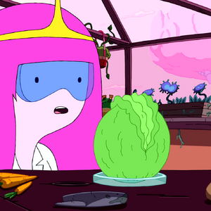 Five Short Graybles Adventure Time Wiki Fandom
