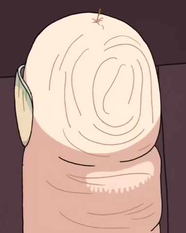 File:S2e4 finn splinter.png