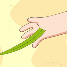Grass Sword Adventure Time Wiki Fandom