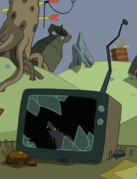 Rodent in the Opening