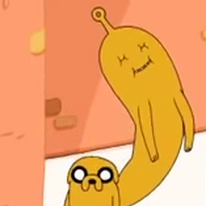 Jake Adventure Time Wiki Fandom