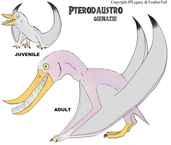 pterodaustro