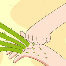 Grass Sword Adventure Time Wiki Fandom