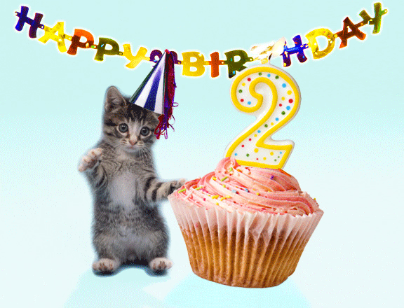 image mtv style 2nd birthday 2 gif adventure time wiki fandom
