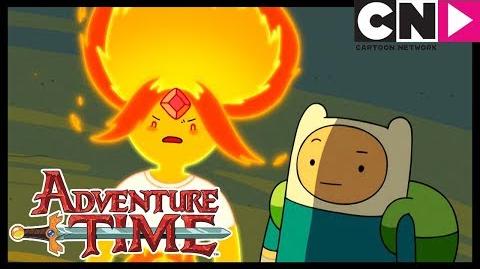 Video Adventure Time Son Of Rap Bear Cartoon Network