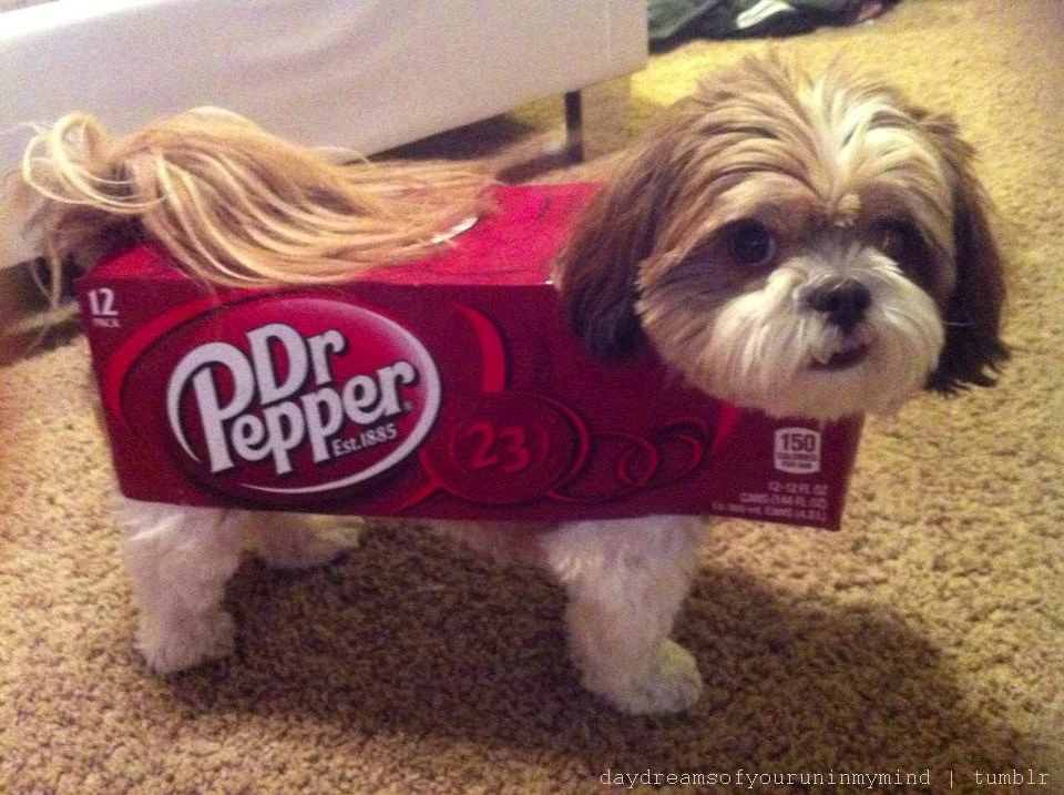 Image Dr pepper costume.jpg Adventure Time Wiki FANDOM powered by