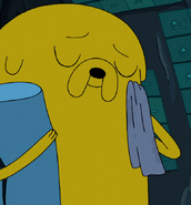 Jake's baby blanket | Adventure Time Wiki | FANDOM powered ...