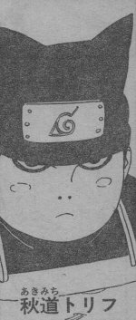 Ifu Akimichi
