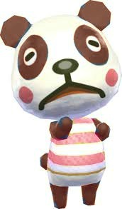 Quinn the Mind Reading Qinling Panda