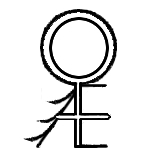 Aeternalae02