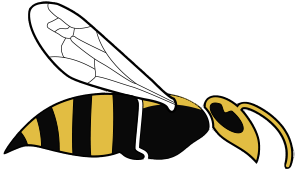 WashingtonWasps