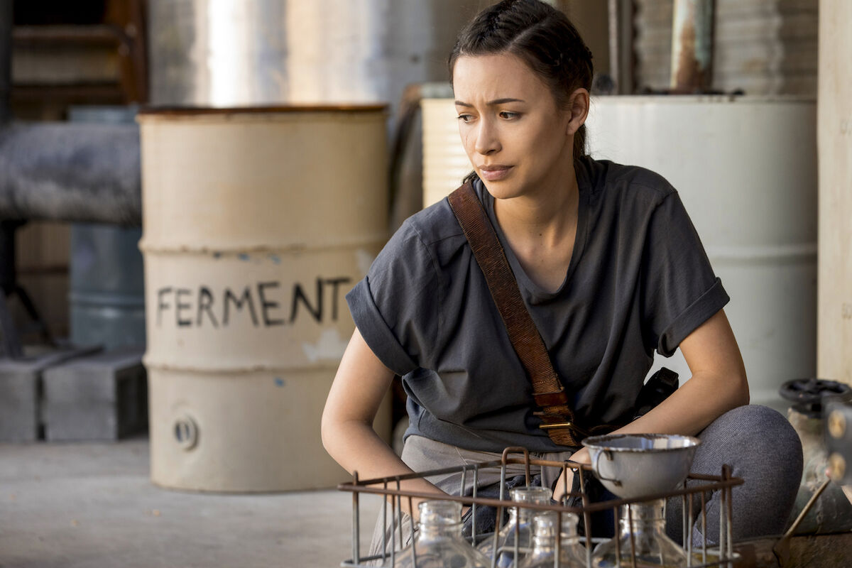 Christian Serratos as Rosita Espinosa