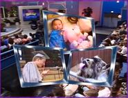 American home videos American home videos