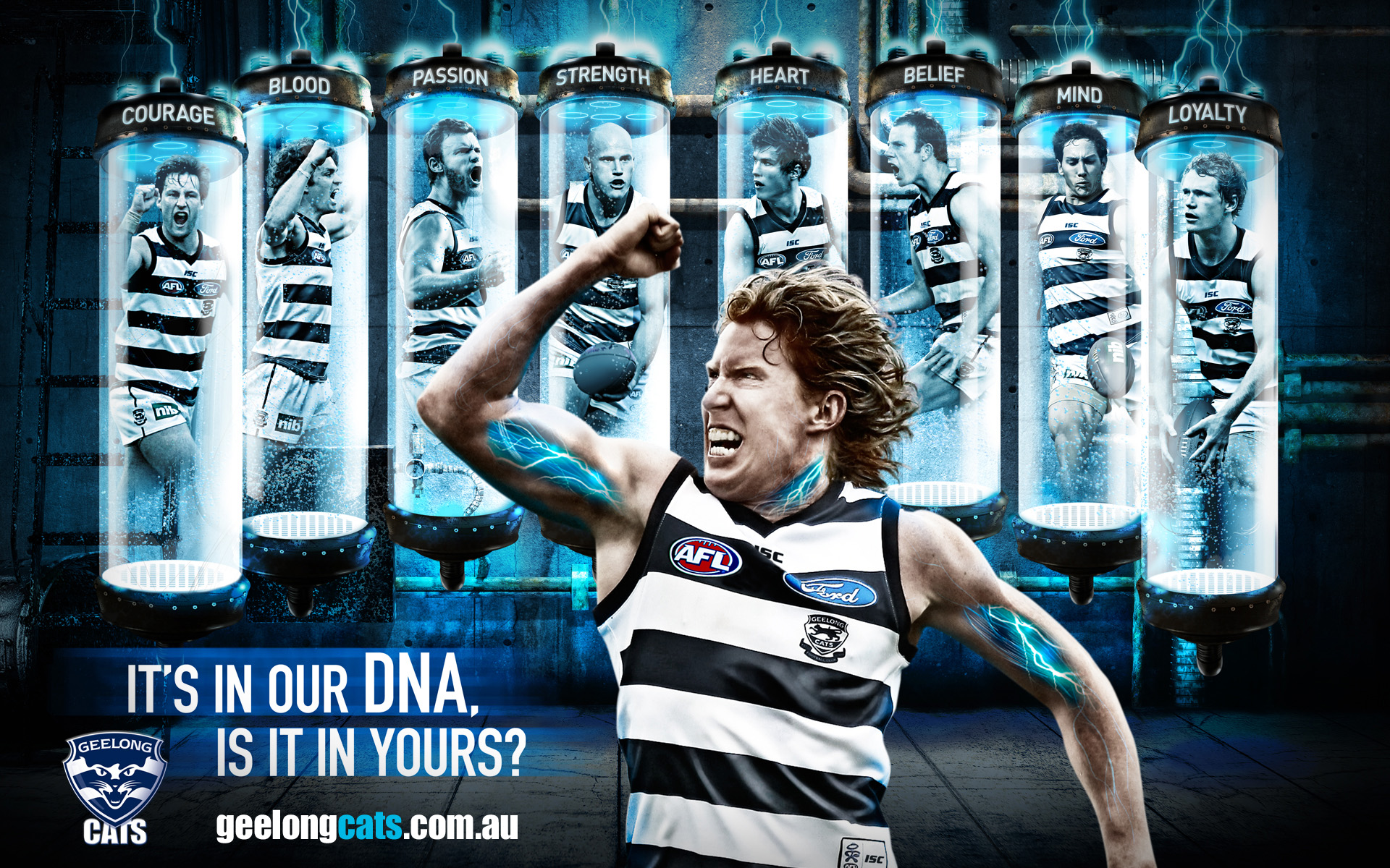 Image - Geelong wallpaper 3.jpg | AFL Wiki | FANDOM ...