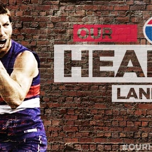 Western Bulldogs Football Club Afl Wiki Fandom