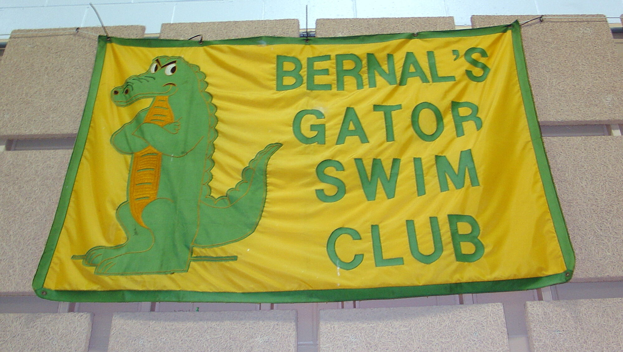 Image Bernals Gator Swim Club banner JPG A for Athlete FANDOM