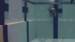 S-for-Steamline from GoSwim