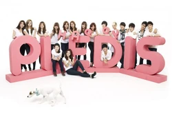 Pledis Entertainment (43 KB) Pledis Entertainment