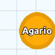 .jpg