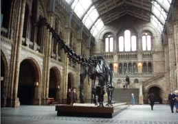 Natural history museum