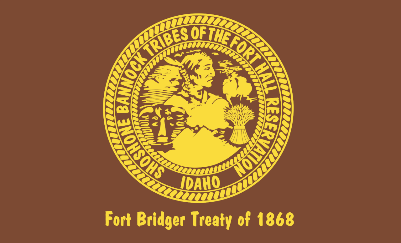 Flag shoshone