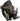 Boar