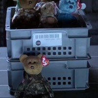 cody beanie baby