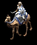 Camel